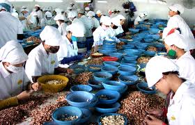 ໃນ 8 ເດືອນຂອງປີ 2013 ມີວິສາຫະກິດໃໝ່ 52.000 ແຫ່ງໄດ້ຮັບການສ້າງຕັ້ງຂຶ້ນ